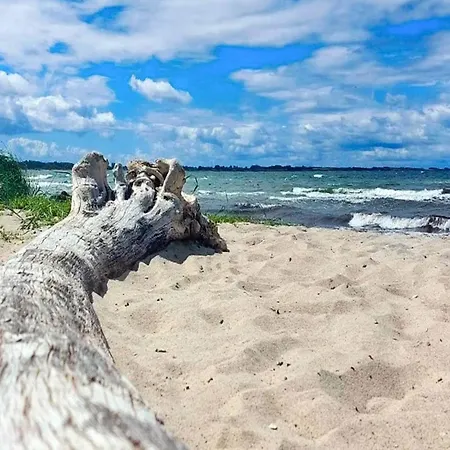 10 Person In * סלאגלסה