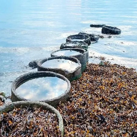 בית נופש 10 Person In