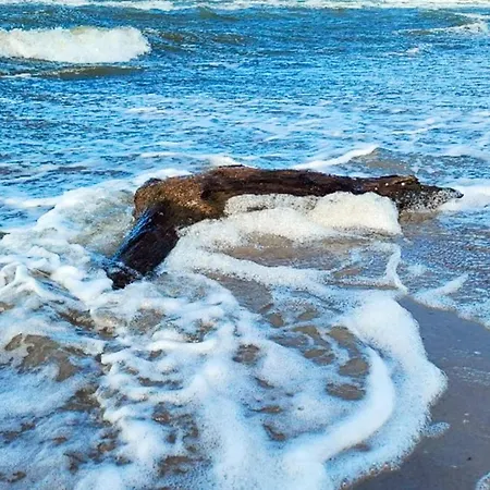 10 Person In סלאגלסה