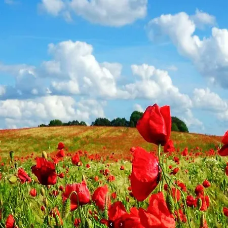 10 Person In בית נופש סלאגלסה