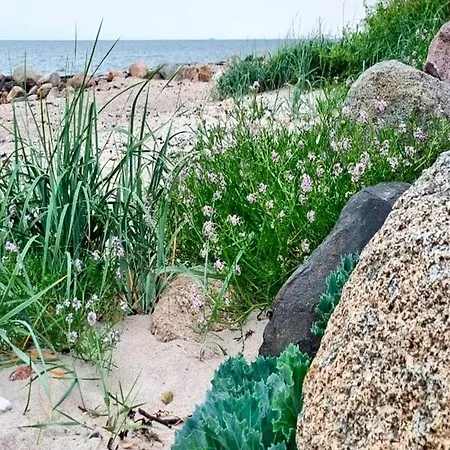 10 Person In סלאגלסה